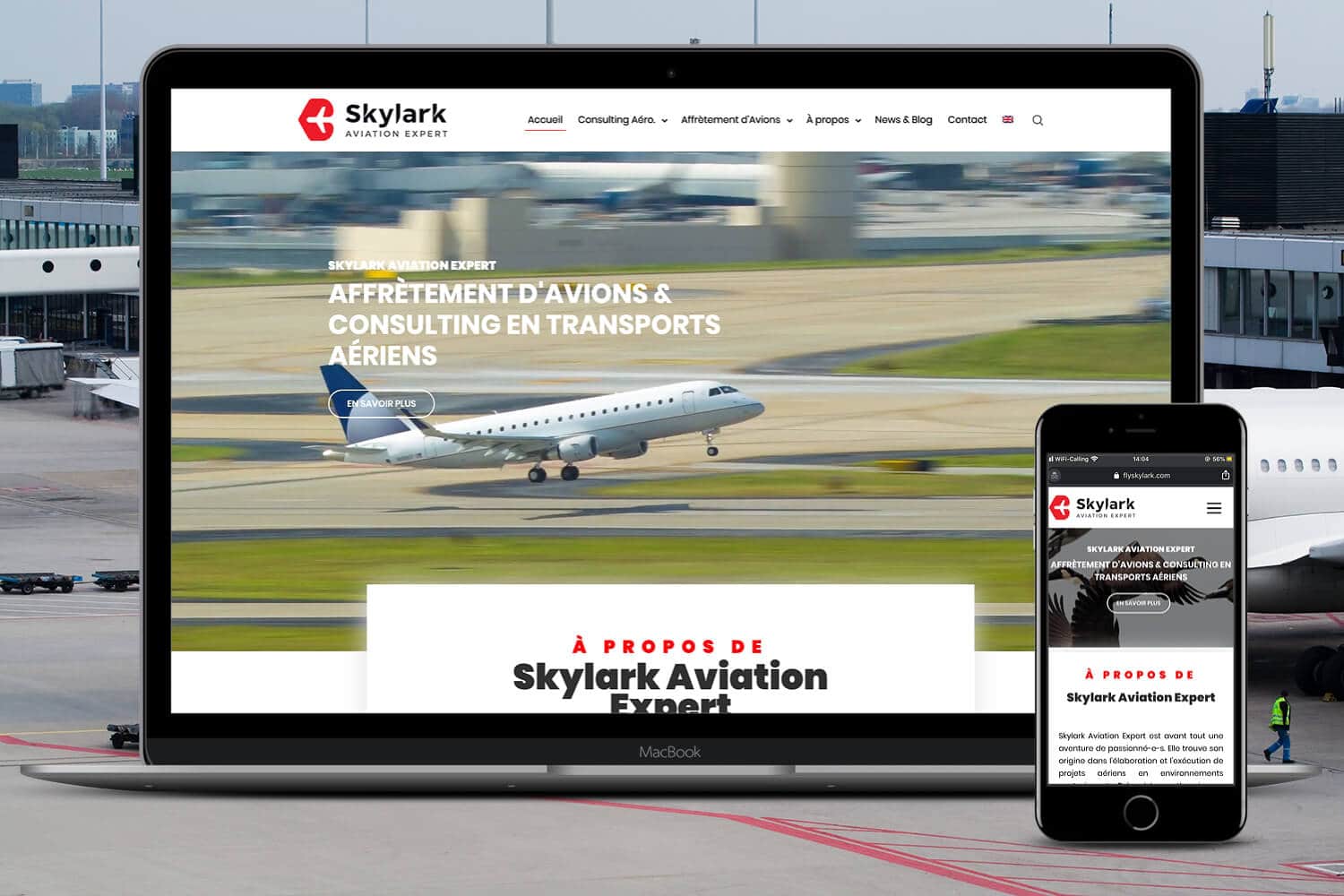 Projet web Skylark Aviation Expert